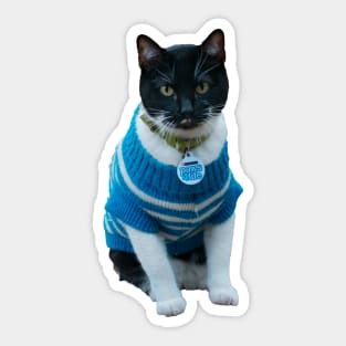 Cats in Sweaters Sticker